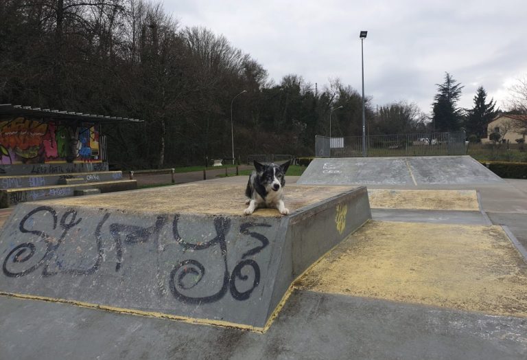 Capture decran 2021 08 17 a 20.19.27 768x524