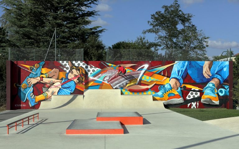 Chaponost skatepark wallrride 768x480