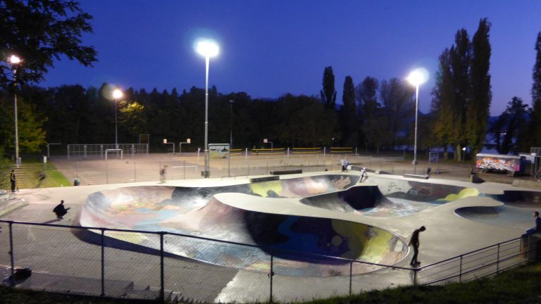 Bowl vidy night 768x432