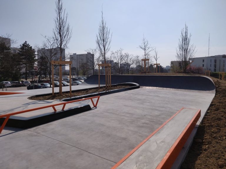 skate rillieux 01 768x576