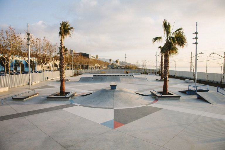 skate agora es un popular 768x512