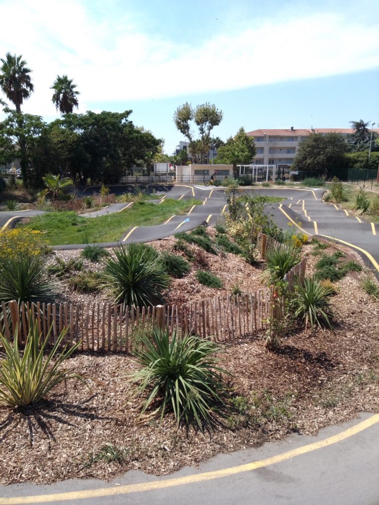 IMG 20220816 144123 768x1024