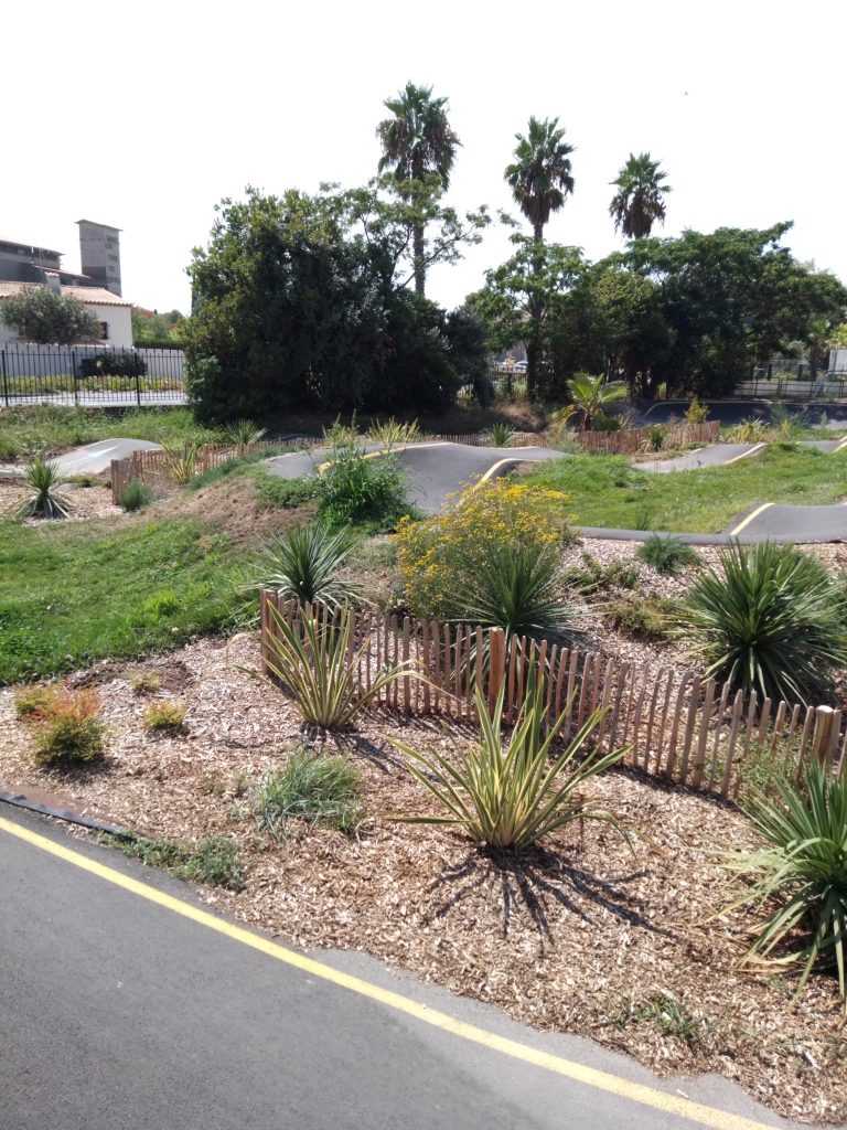 IMG 20220816 144126 768x1024