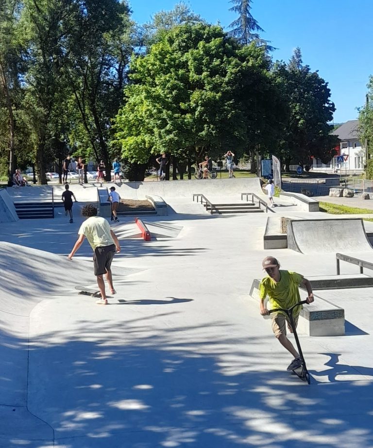 skate rumilly03 768x921