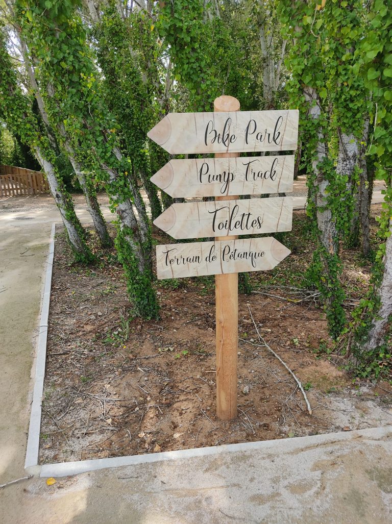 IMG 20211008 134031 768x1027