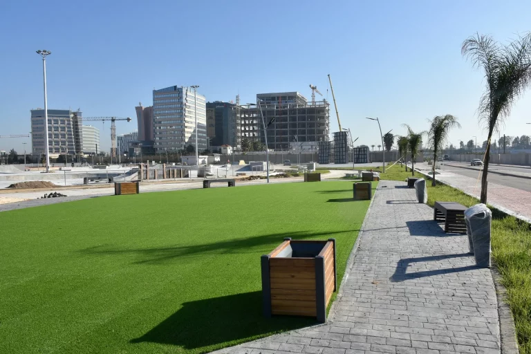 Skate alger 1 768x512