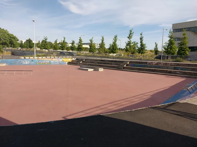 Skate paillade 768x576