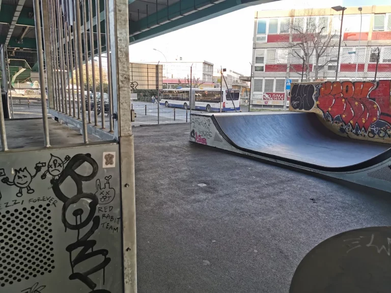 Skatepark Carouge 02 768x576