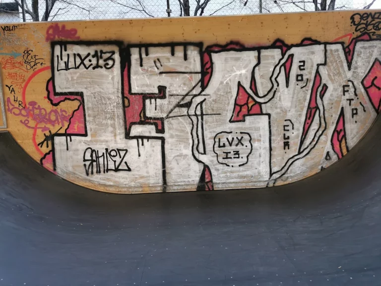 Skatepark Carouge 08 768x576