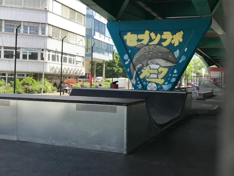 Skatepark Carouge 15 768x576