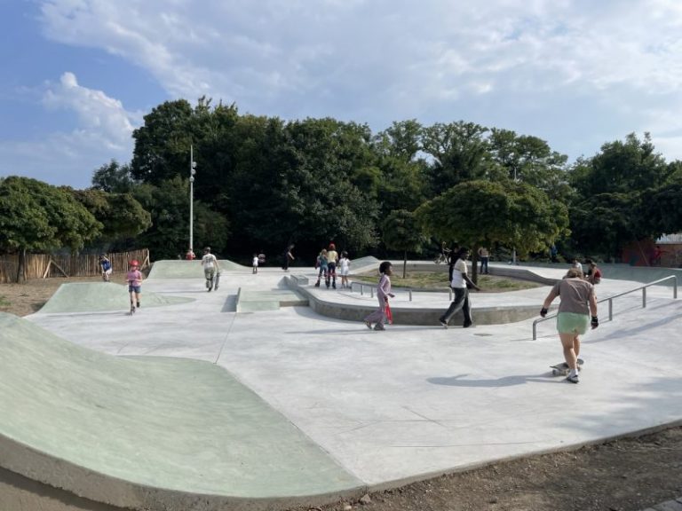 skate schiltigheim 768x576