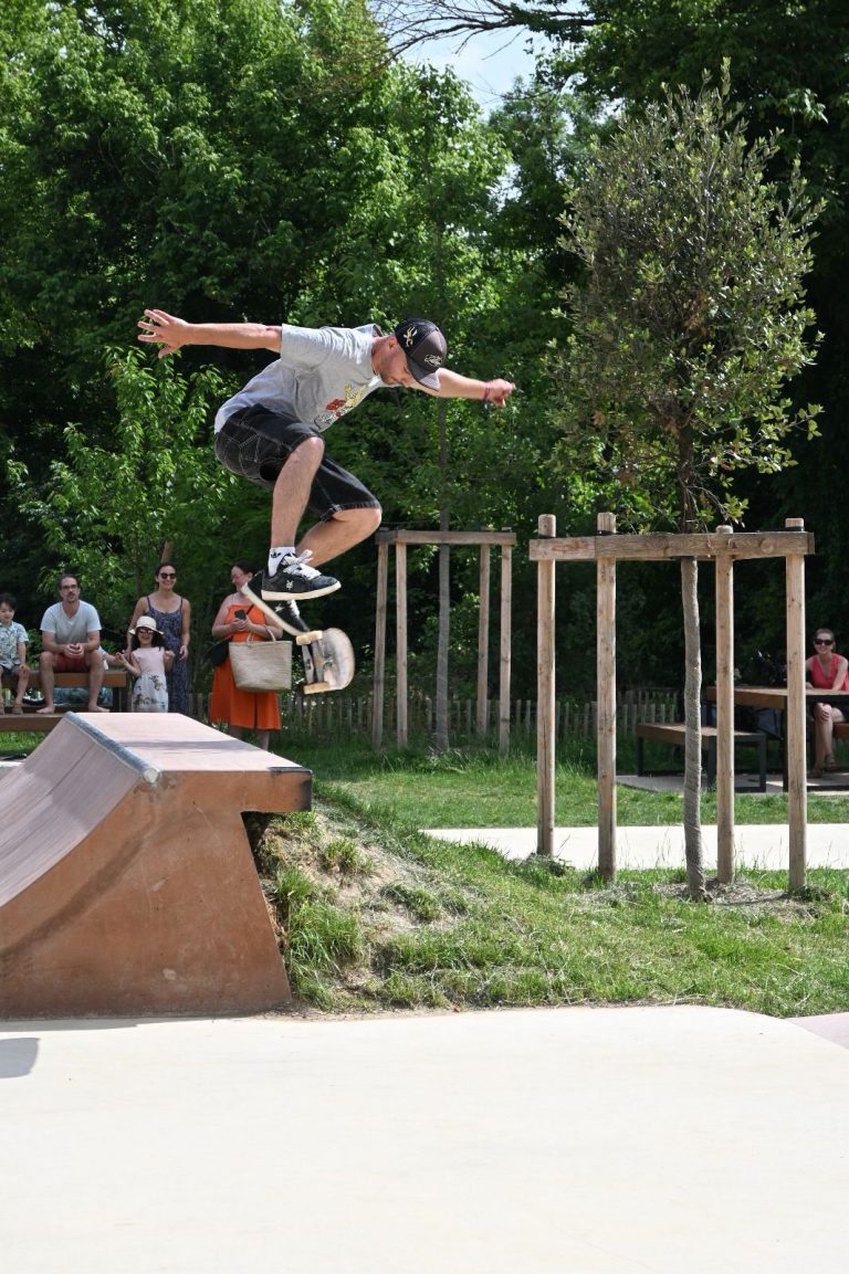 Skatepark de Vernaison 03 768x1153