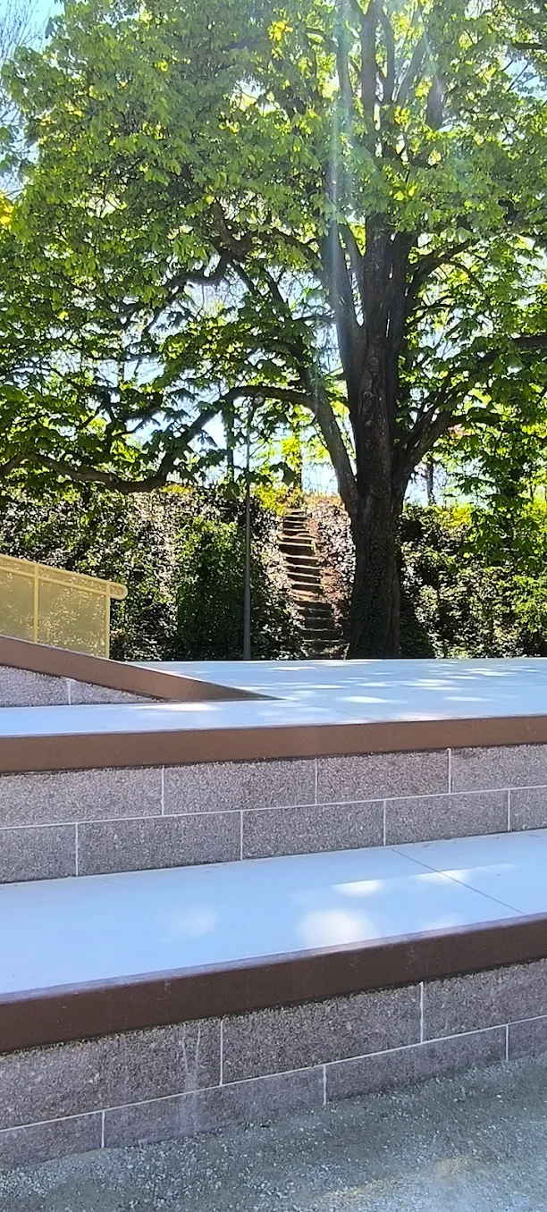 strasbourg skatepark