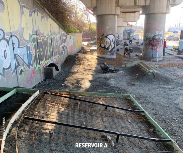 Skate forest Bruxelles 768x644