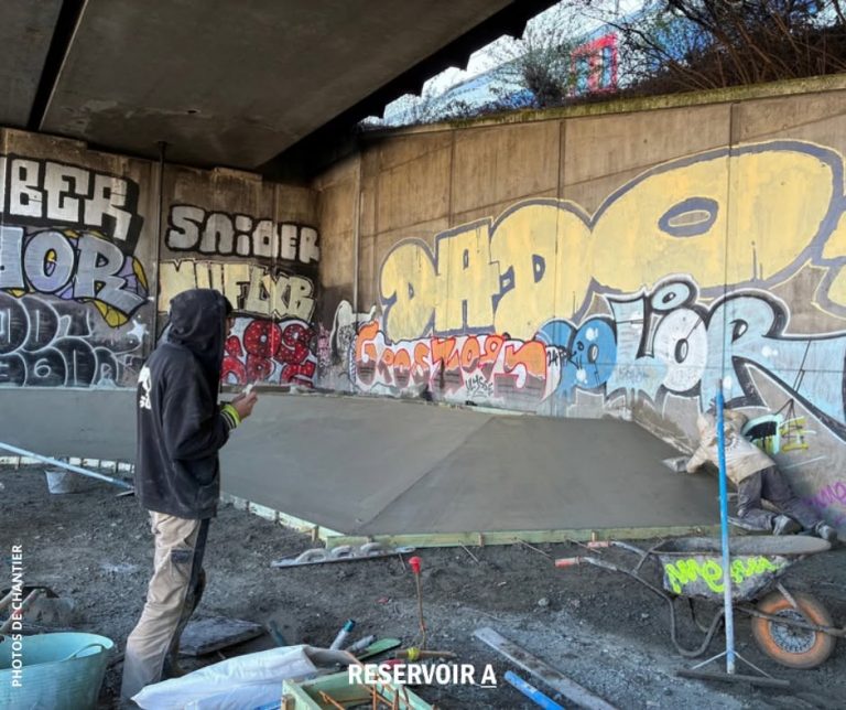 Skatepark Forest Build 768x644